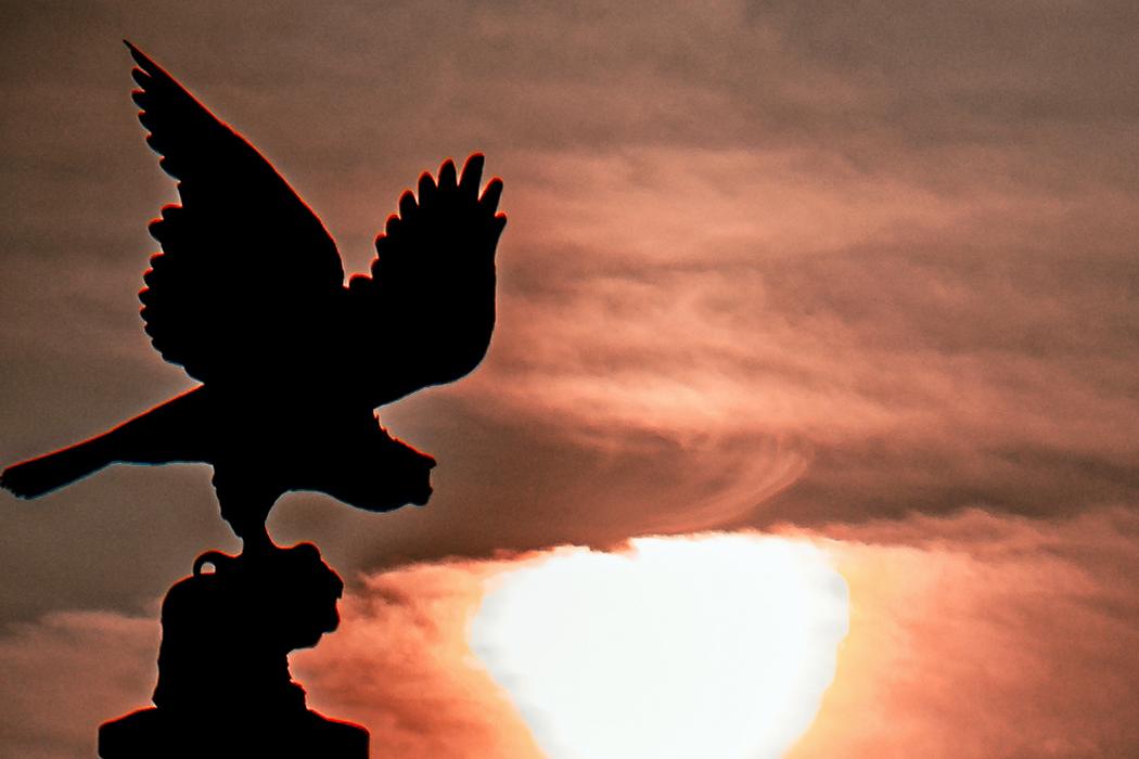 Eagle and Gasson tower